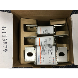 P330040美尔森罗兰DN000UB69V200熔断器