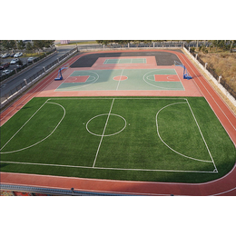 足球场人造草坪-人造草坪-辉跃健身器材定制