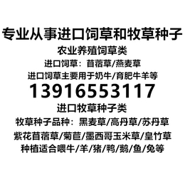 澳大利亚进口燕麦草 上海港青岛港口进口澳大利亚燕麦草价格