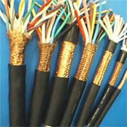 计算机电缆厂家-青岛计算机电缆-南洋电缆(查看)