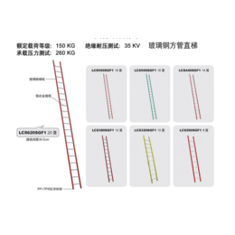 金锚梯具玻璃钢绝缘直梯单片LCS320SGF1