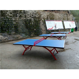 单折移动式乒乓球台生产厂家-庚宸体育服务周到-商丘乒乓球台