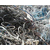 工地高压电缆回收-朔州高压电缆回收-鑫博腾废品回收缩略图1