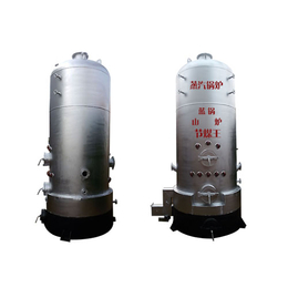 蒸汽发生器-泰安蓝山锅炉设备-燃气蒸汽发生器