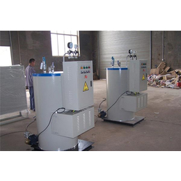 小型电热蒸汽发生器销售-杭州小型电热蒸汽发生器-艾科艾尔