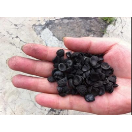 果壳活性炭-水光环保活性炭-果壳活性炭活性炭市场