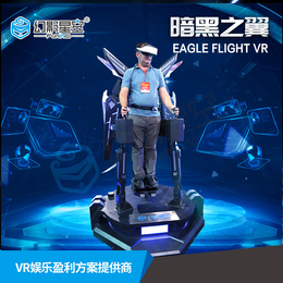 9dvr虚拟现实设备站立飞行暗黑之翼vr体感游戏vr主题乐园
