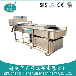 台湾贝类自动刷洗机-诸城市天顺机械-50型贝类自动刷洗机