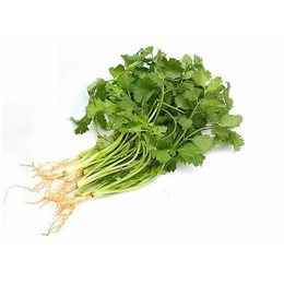 石林新鲜蔬菜价格-刘建平蔬菜配送(在线咨询)-石林新鲜蔬菜