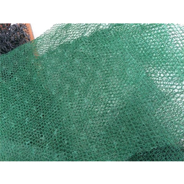 边坡土工网垫-大广新材料-边坡土工网垫生产厂家