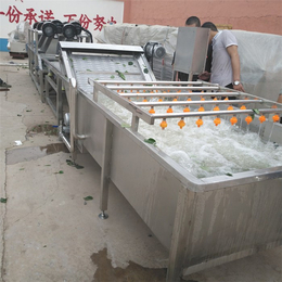 供应龙虾气泡清洗机-株洲龙虾气泡清洗机-汇康食品机械(查看)