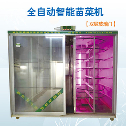 青州迪生(在线咨询)-苗芽菜机-智能水培苗芽菜机