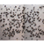 合肥灭蟑螂-安徽优吉盛环保-灭蟑螂哪家好缩略图1