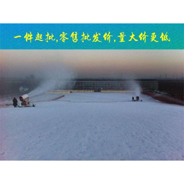 立式造雪泵生产厂家-立式造雪泵-天津 中蓝泵业