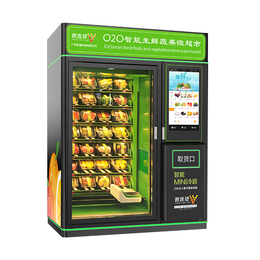 自动卖菜机一台多少钱-惠逸捷制冷节能-西双版纳自动卖菜机