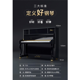 德国卡尔霍夫纳钢琴-阿米巴教育科技-德国卡尔霍夫纳钢琴售价