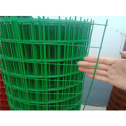 方格绿化带护栏网-长沙护栏网-超兴铁丝防护网