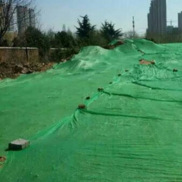 西双版纳绿色盖土网一斤多少钱-远光遮阳网厂-绿色盖土网