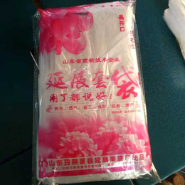 塑膜苹果袋报价-塑膜苹果袋-莒县常兴果袋(查看)