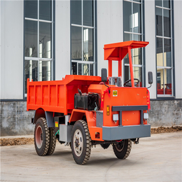 重庆引水洞自卸车载重8吨可以在矿山出渣运输