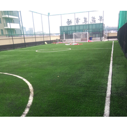 人造草坪足球场-宁波华速新材料-人造草坪足球场每平方价格