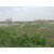 兵峰，农产品物联网-黑龙江省什么是大田种植物联网缩略图1