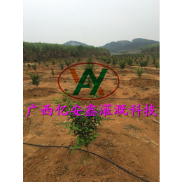 园林灌溉系统-南宁园林灌溉-亿安鑫节水灌溉(查看)