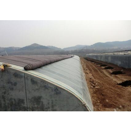 玻璃温室工程-临夏玻璃温室-青州鑫华生态农业(查看)