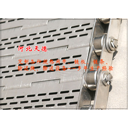扣板金属板带厂家-板式链条网带(在线咨询)-江华金属板带