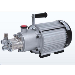 洗车设备高压泵-杜丰贸易(在线咨询)-高压泵