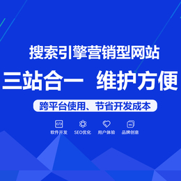  广州企业建站 自动营销型网站开发 广州小程序开发