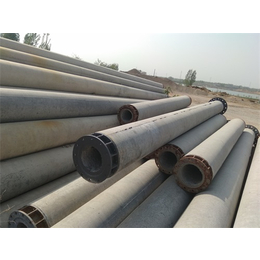 泰安汶河水泥制品-14米部分预应力水泥电线杆批发价