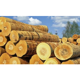 降低非洲木材进口成本 由巨晖帮你办