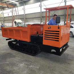 生产3吨小型山地履带式运输车农用自卸爬山王