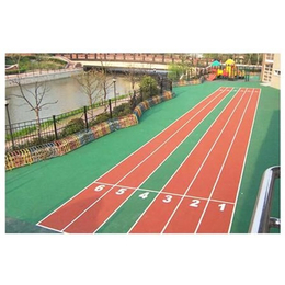 塑胶跑道球场-衡水塑胶跑道-天津金达鑫体育设施(查看)