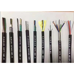 光纤光缆哪家好选信欧(图)-光纤光缆价格-怒江光纤光缆