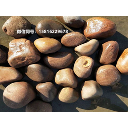 广东江门鹅卵石 天然河道开采鹅卵石 自然鹅卵石