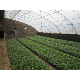 新乡蔬菜大棚安装-亿农农业-新乡蔬菜大棚