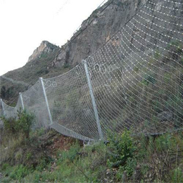 边坡防护网主动边坡防护网