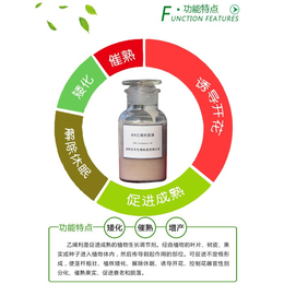 乙烯利催熟剂生产厂家-湖南乙烯利催熟剂-全丰生物科技