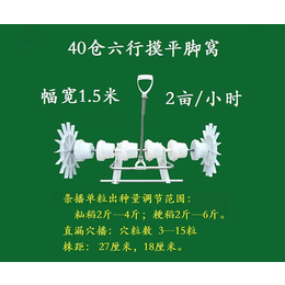 便携式水稻播种机出售-荆门诚播农业科技公司-广东播种机出售