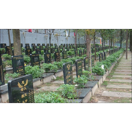仙女山公墓-仙女山公墓优惠-九龙坡仙女山公墓