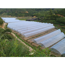 寿宁食用菌大棚-福建龙泰大棚施工-食用菌大棚电话