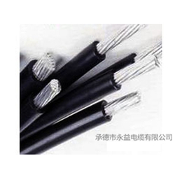 铠装阻燃电缆价格-承德永益电缆(在线咨询)-陕西铠装阻燃电缆