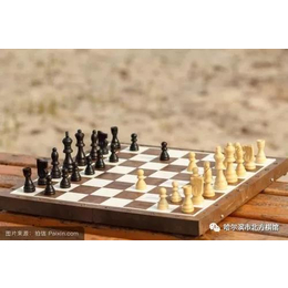 少儿培训-秦皇岛国际象棋-少儿培训班