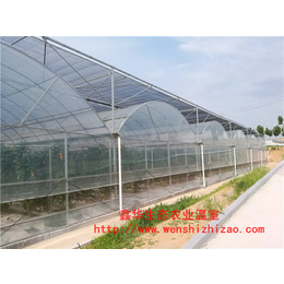 山东鑫华厂家 拱形蔬菜大棚 塑料薄膜温室设计 质量可靠