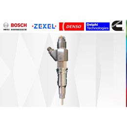 共轨喷油器报价-共轨喷油器-欣中农油泵(查看)