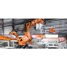 工业搬运机械臂-晟华晔机器人(在线咨询)-保定搬运机械臂