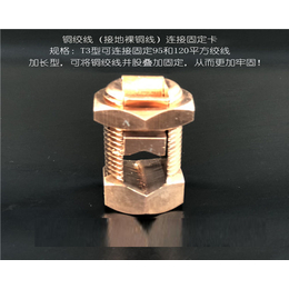 台湾接地铜绞线固定螺栓-中科英华技术(图)