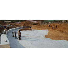 复合防水毯厂家-德旭达土工材料(在线咨询)-北京防水毯